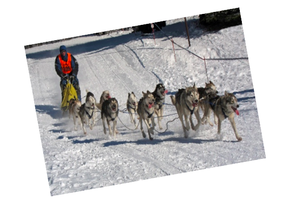 Hundekjøring på Aas gård 16. februar